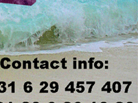 contact info caribisch themafeest